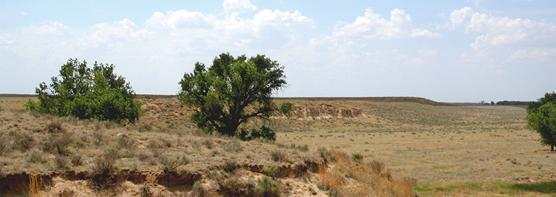 Image of Sand Creek